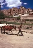 B 13 Ladhak Lamayuru Ladhak Inde 1995-137