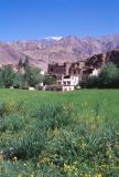 C 04 Ladhak Alchi Ladhak Inde 1995-079