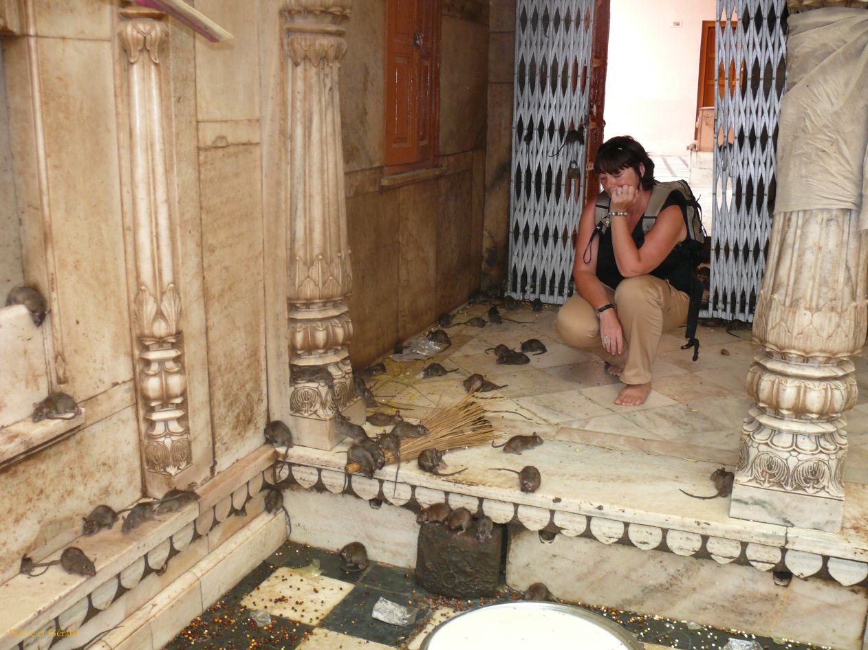 E Bikaner Deshnoke 4