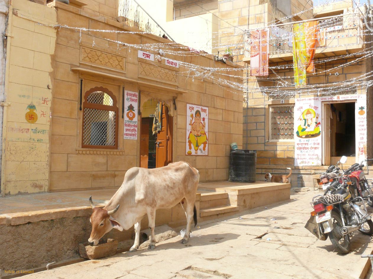 F Jaisalmer La Ville 7