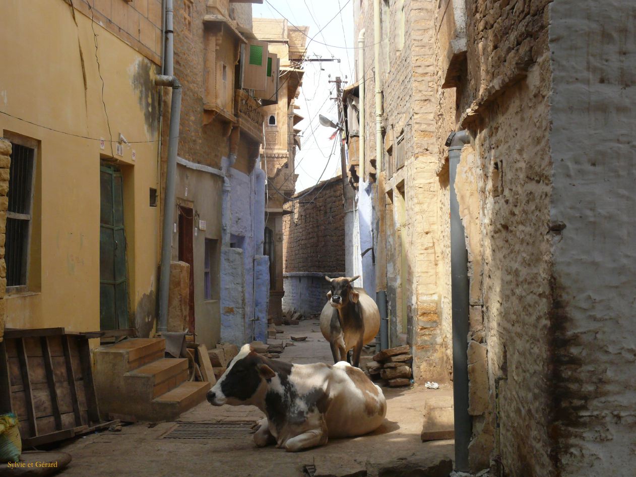 F Jaisalmer La Ville 9