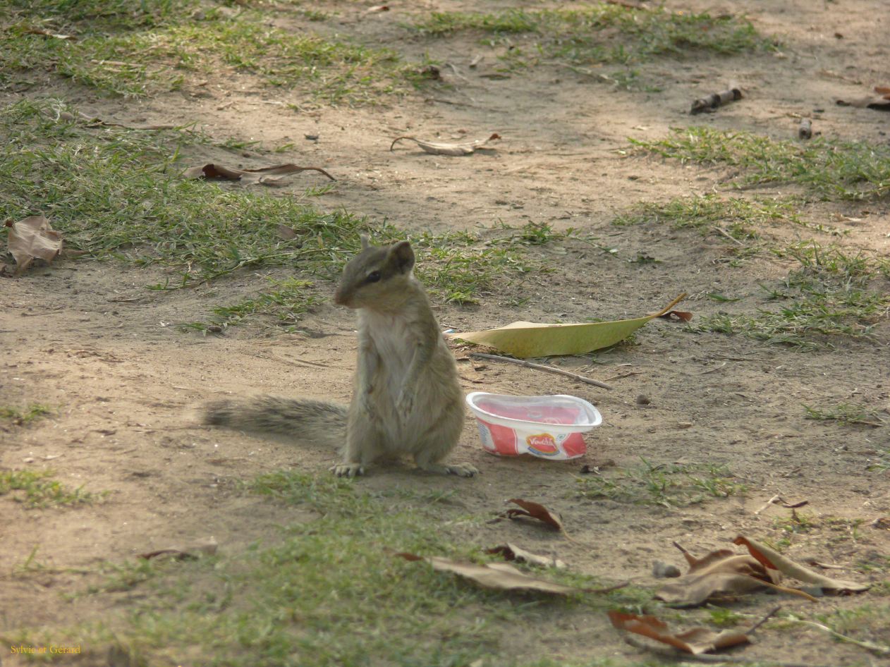 B Delhi Indian Gate 5