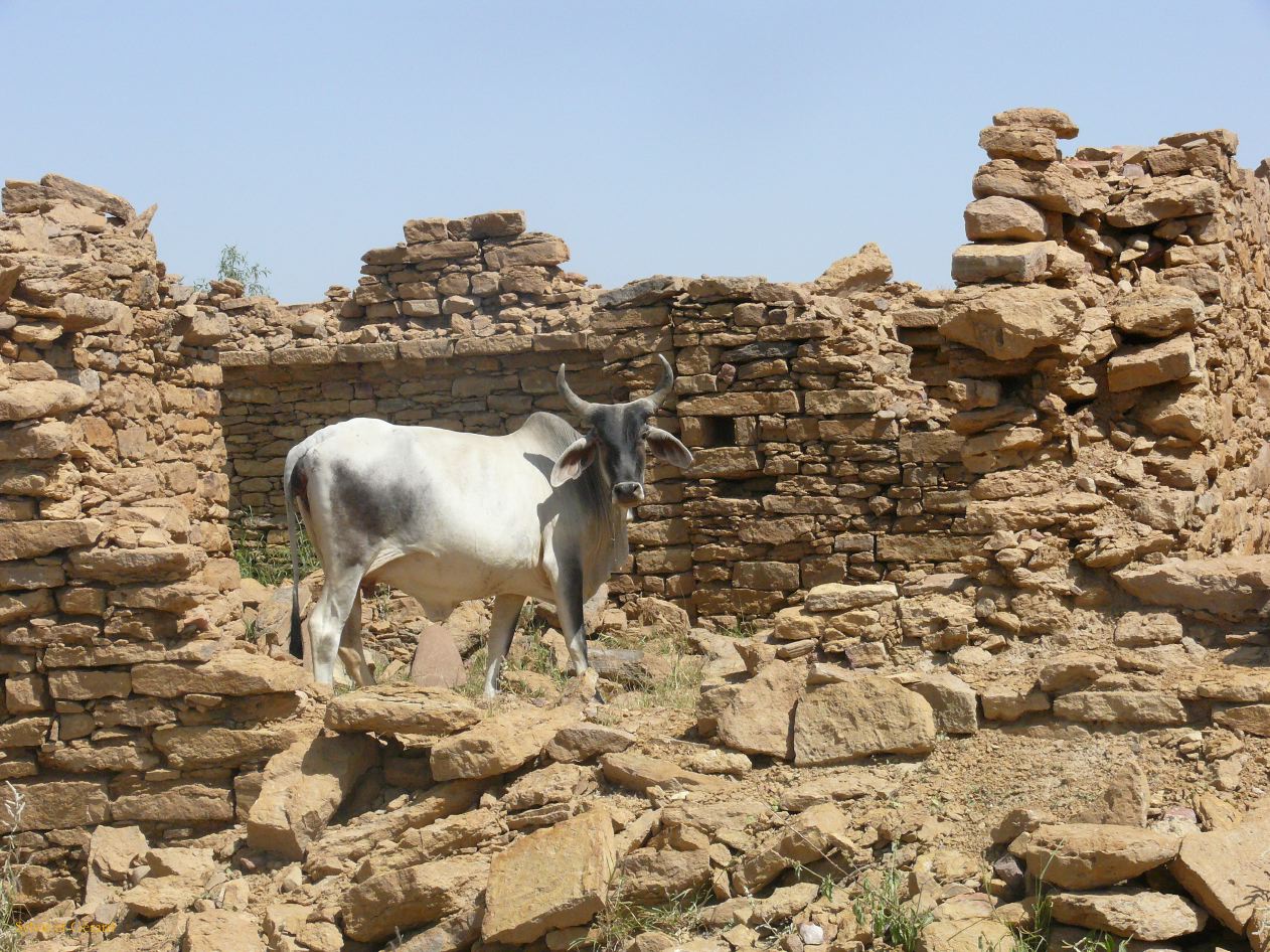 F Jaisalmer Village Fantome Kuldhara 2