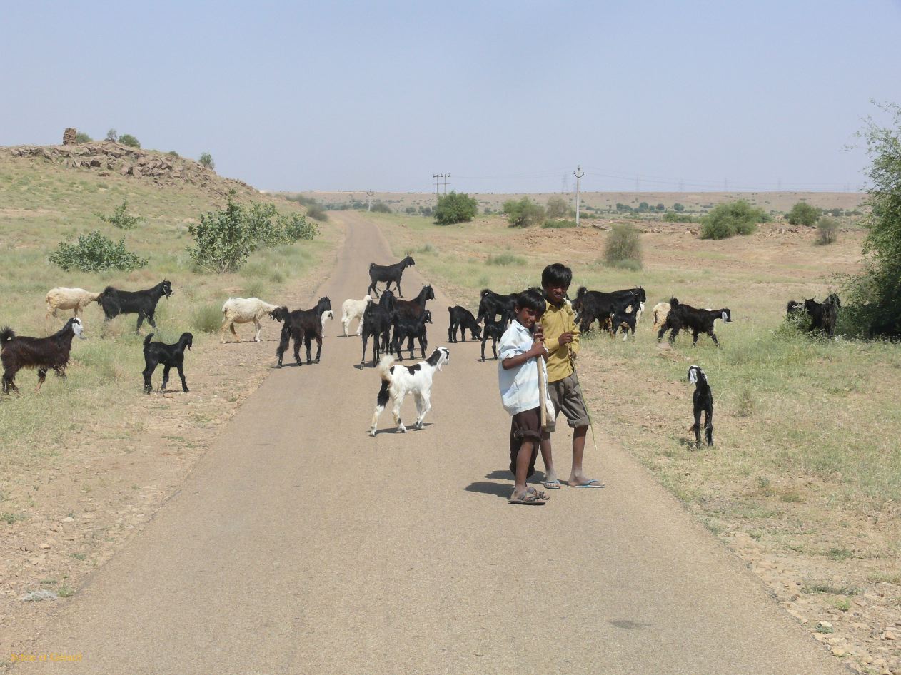 F Jaisalmer Villages alentours 4