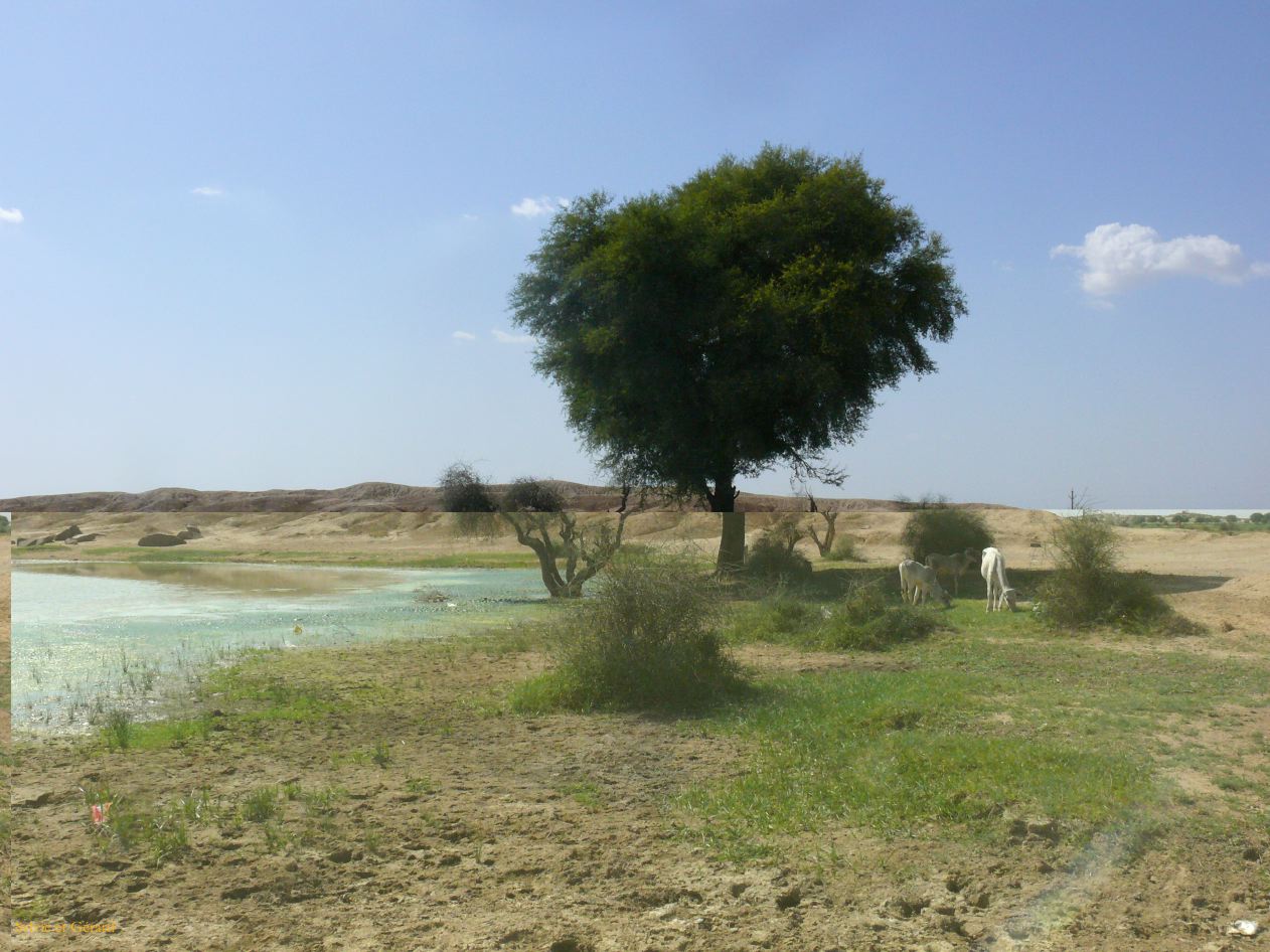 F Jaisalmer Villages alentours 17