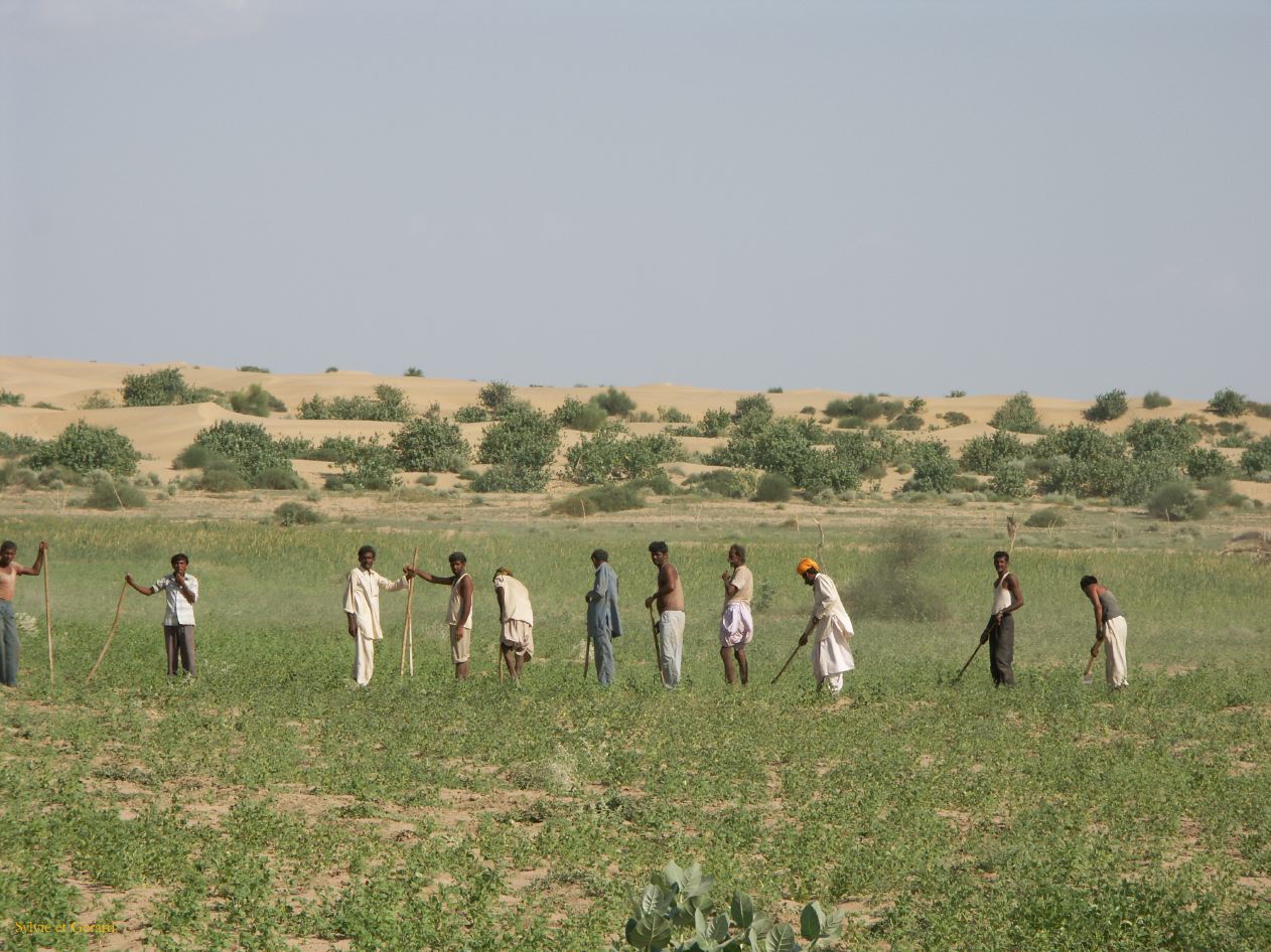 F Jaisalmer Villages alentours 33