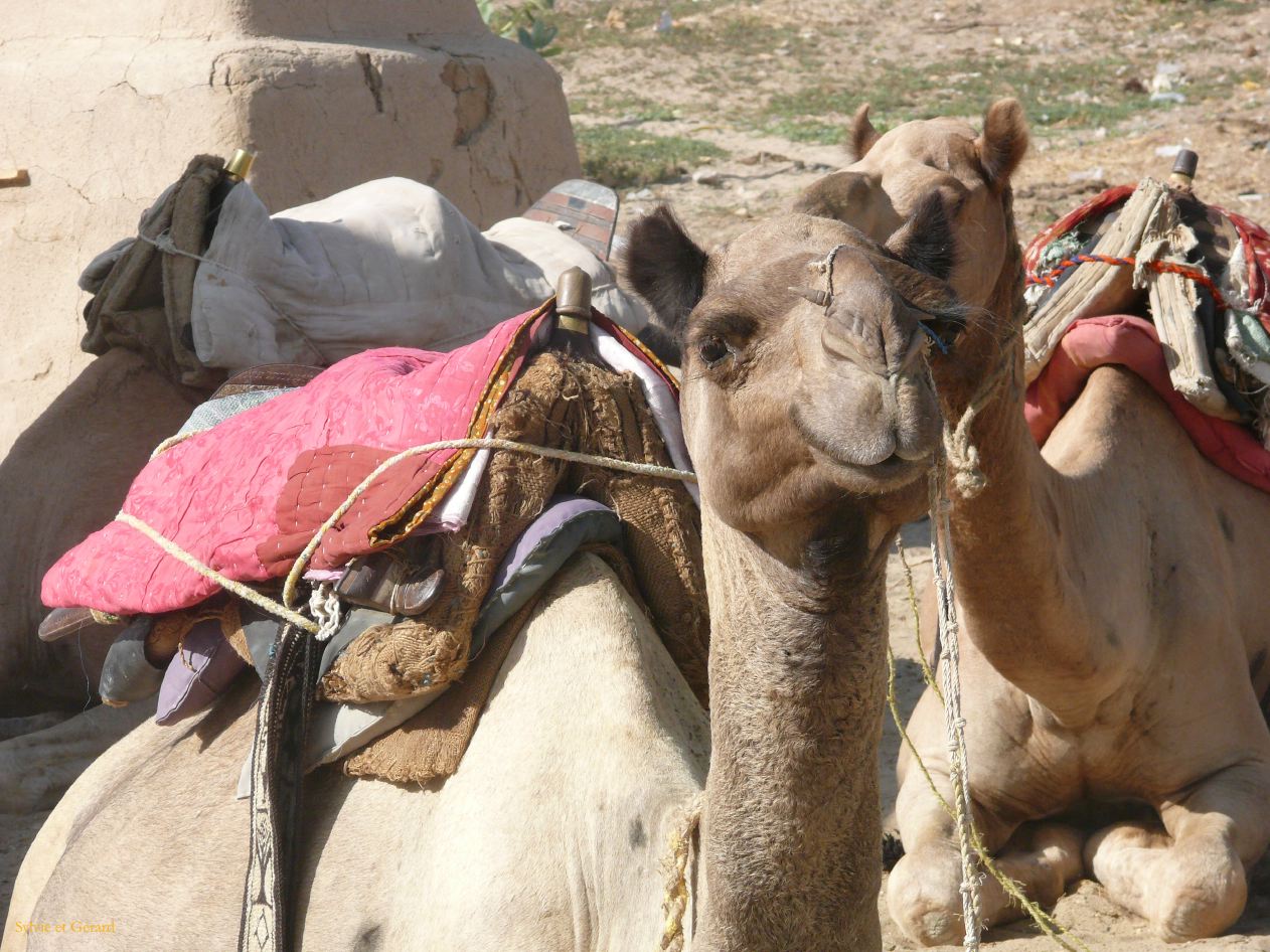 F Jaisalmer Villages alentours 38