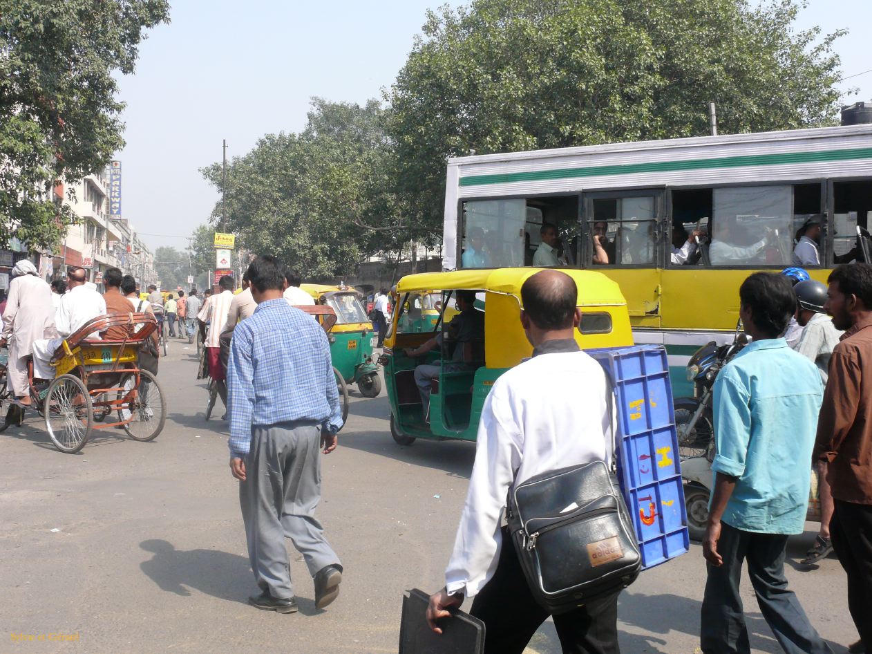 B  Delhi Circulation 1