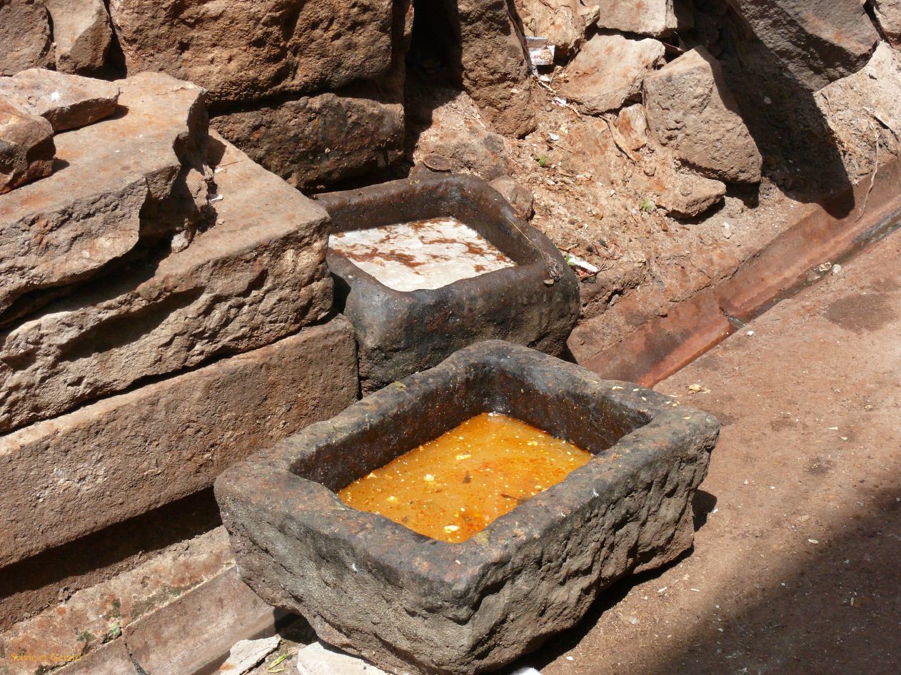 G Jodhpur La Ville 5 2