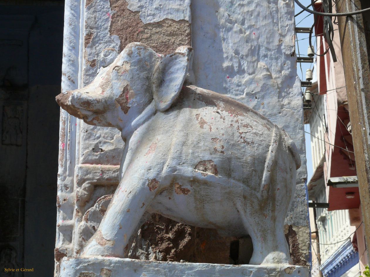 G Jodhpur La Ville 8