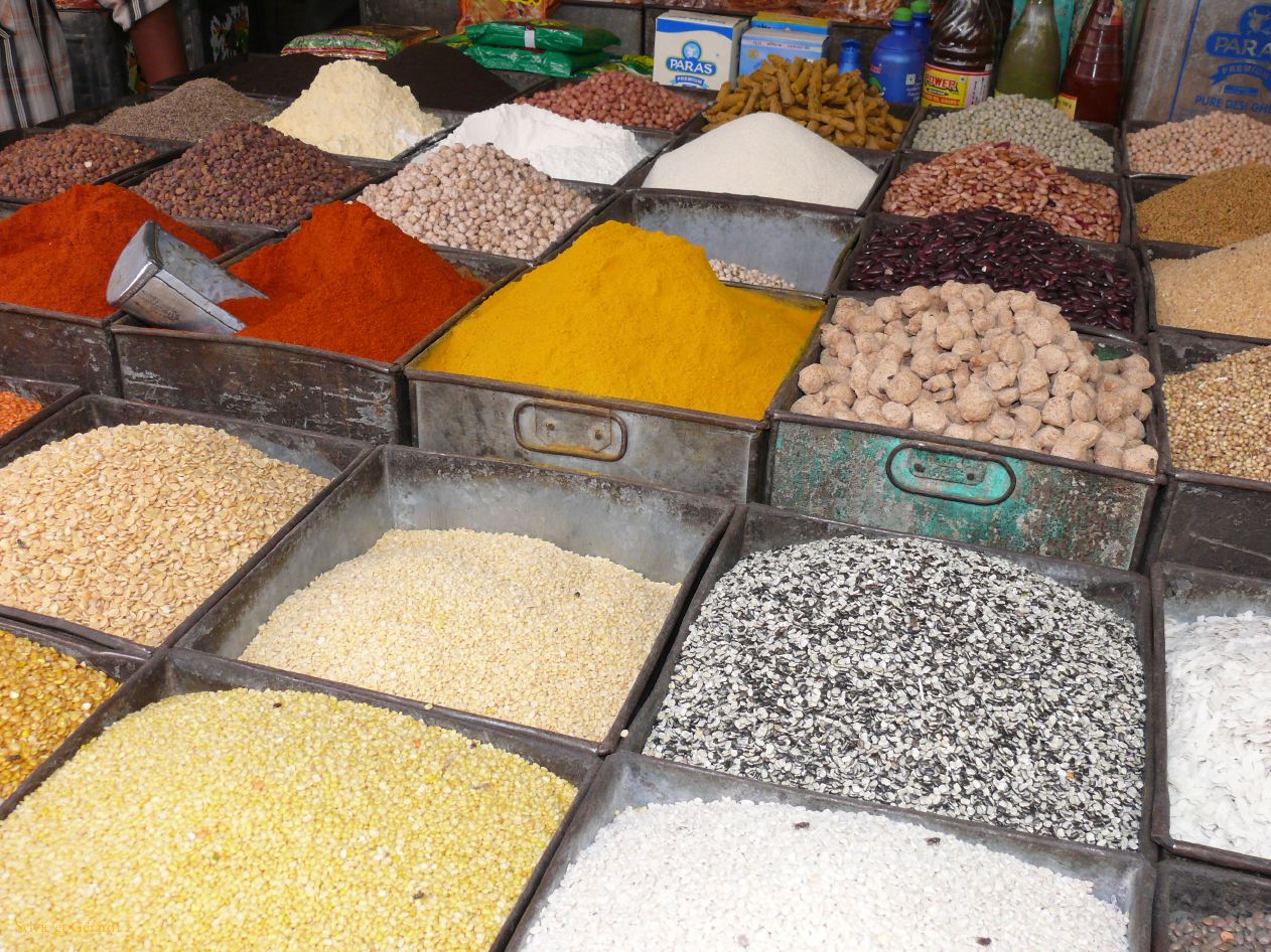 G Jodhpur Le Marché 5