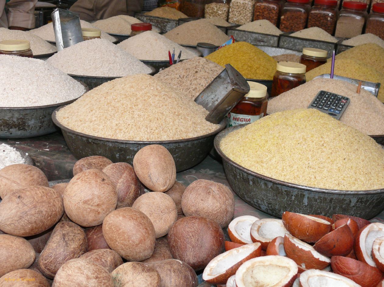 G Jodhpur Le Marché 7