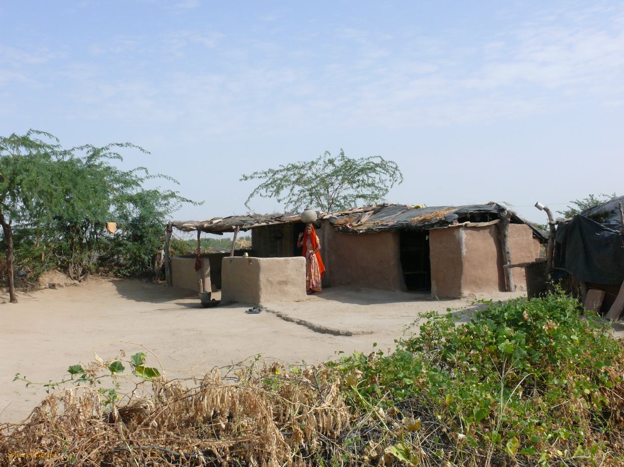 G Jodhpur Village Vishnois 1
