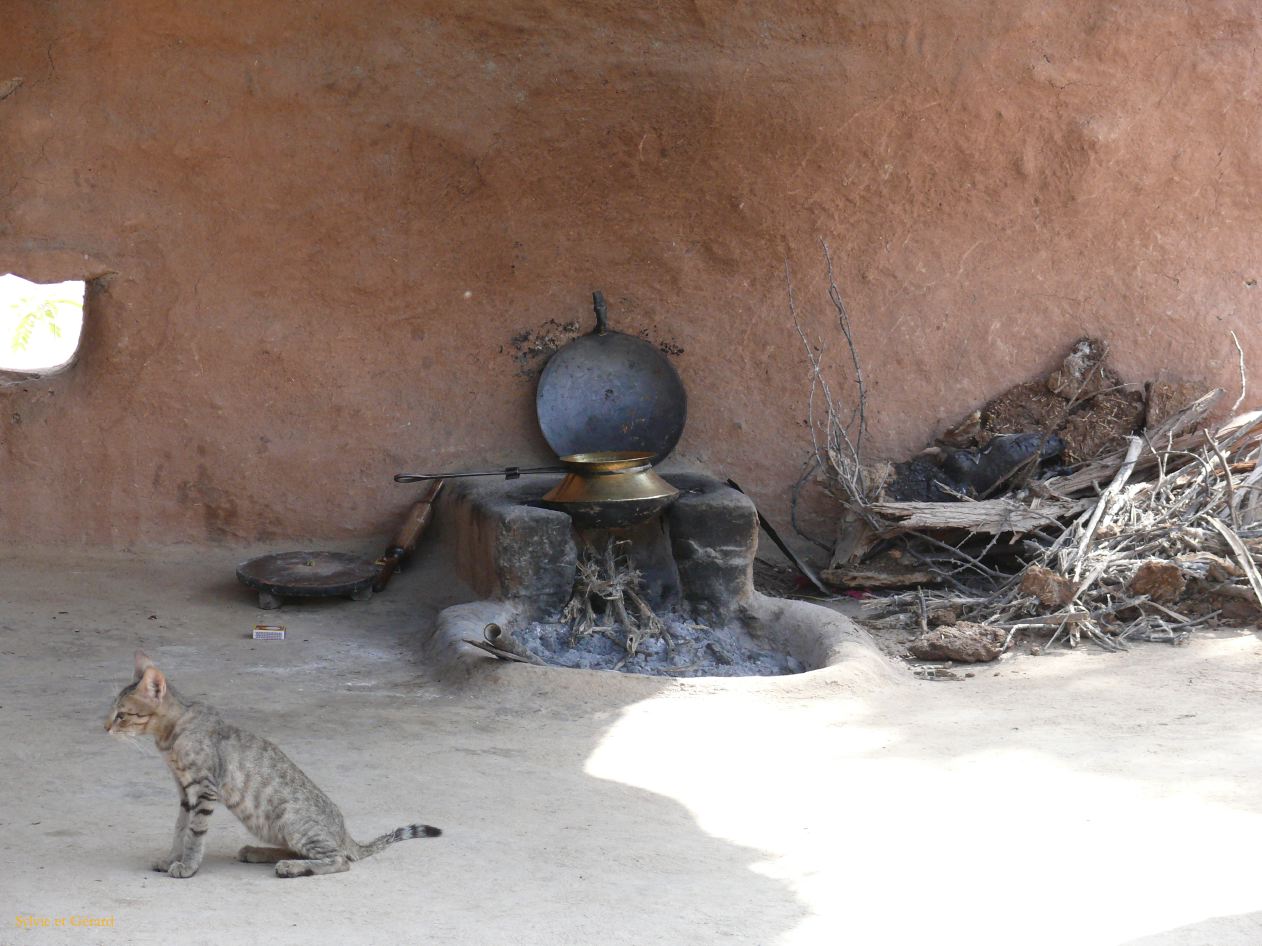 G Jodhpur Village Vishnois 2