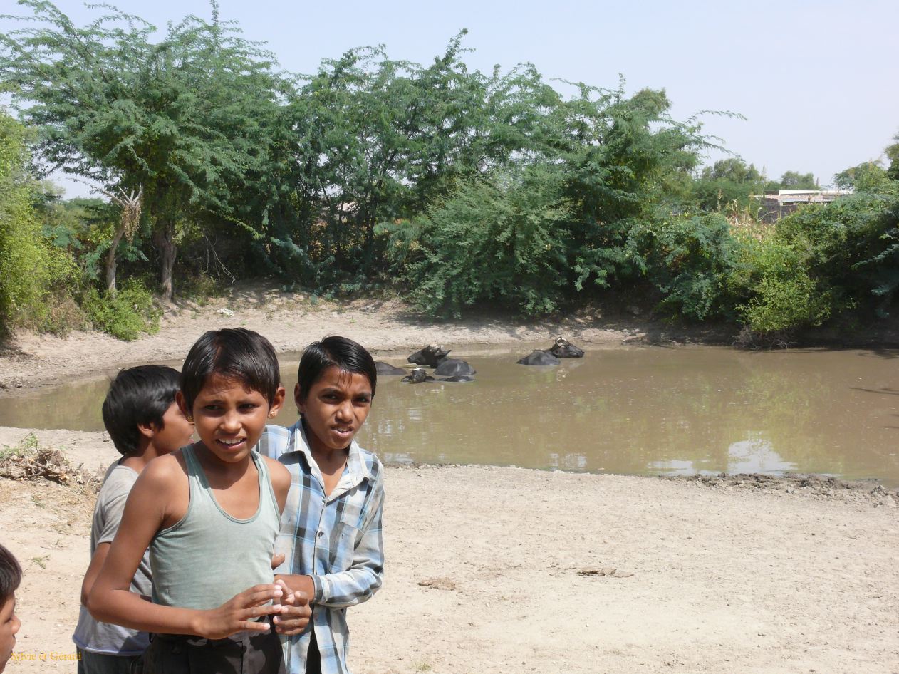 G Jodhpur Villages Vishnois 2