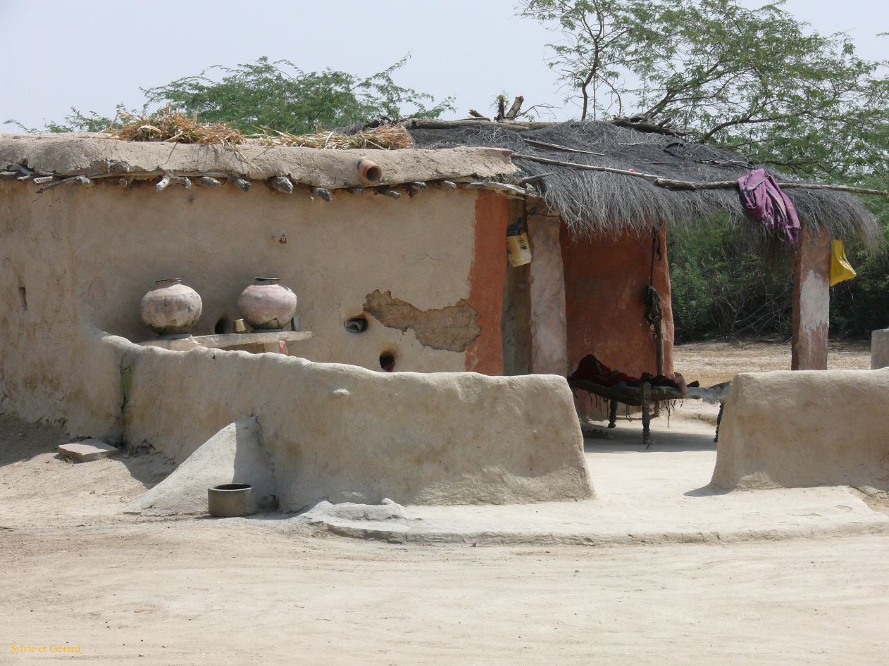 G Jodhpur Villages Vishnois 5