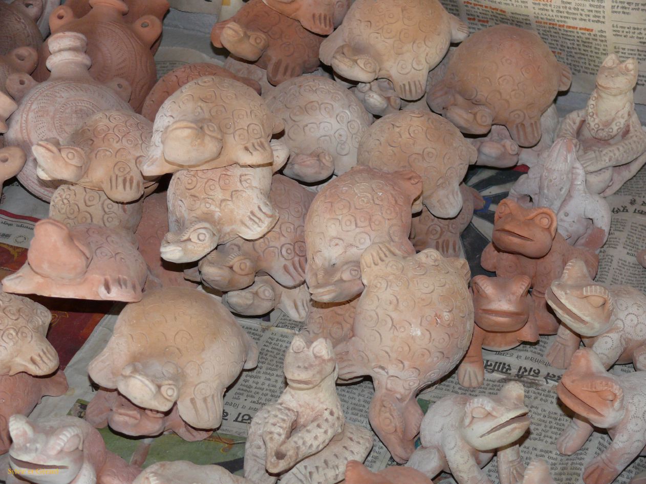 G Jodhpur Villages Vishnois potier 3