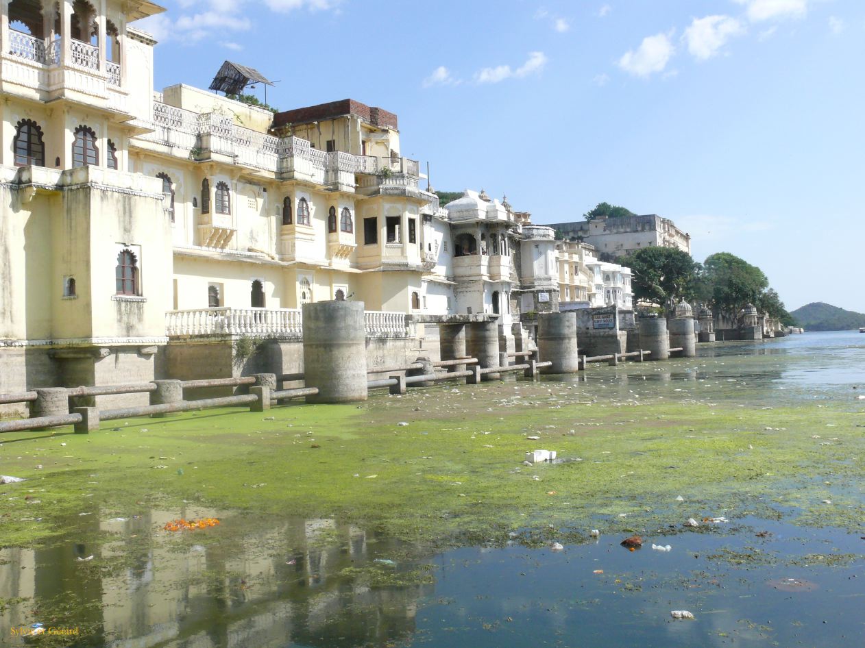 H Udaipur Le Lac 1