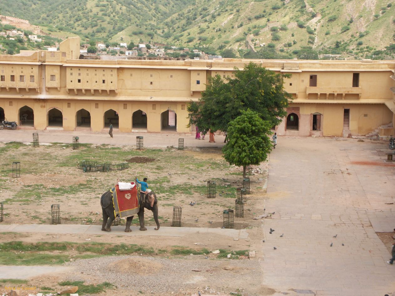 C Jaipur Ambert Citadelle 22