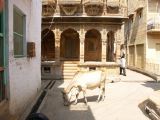 F Jaisalmer La Ville 26