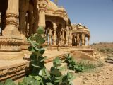 F Jaisalmer les Cénotaphes Bada Bagh 8