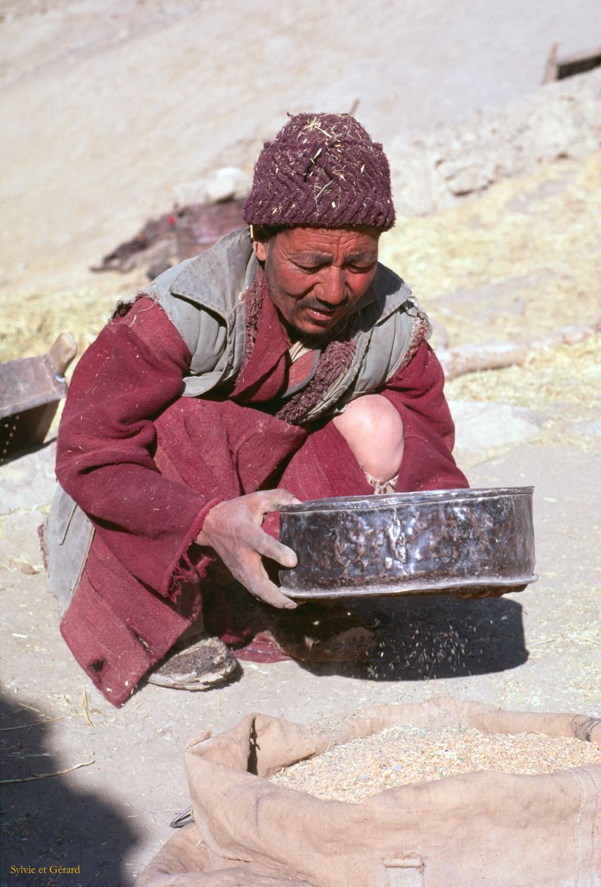 105 Lamayuru paysan et son tamis Ladhak Inde-1991-103
