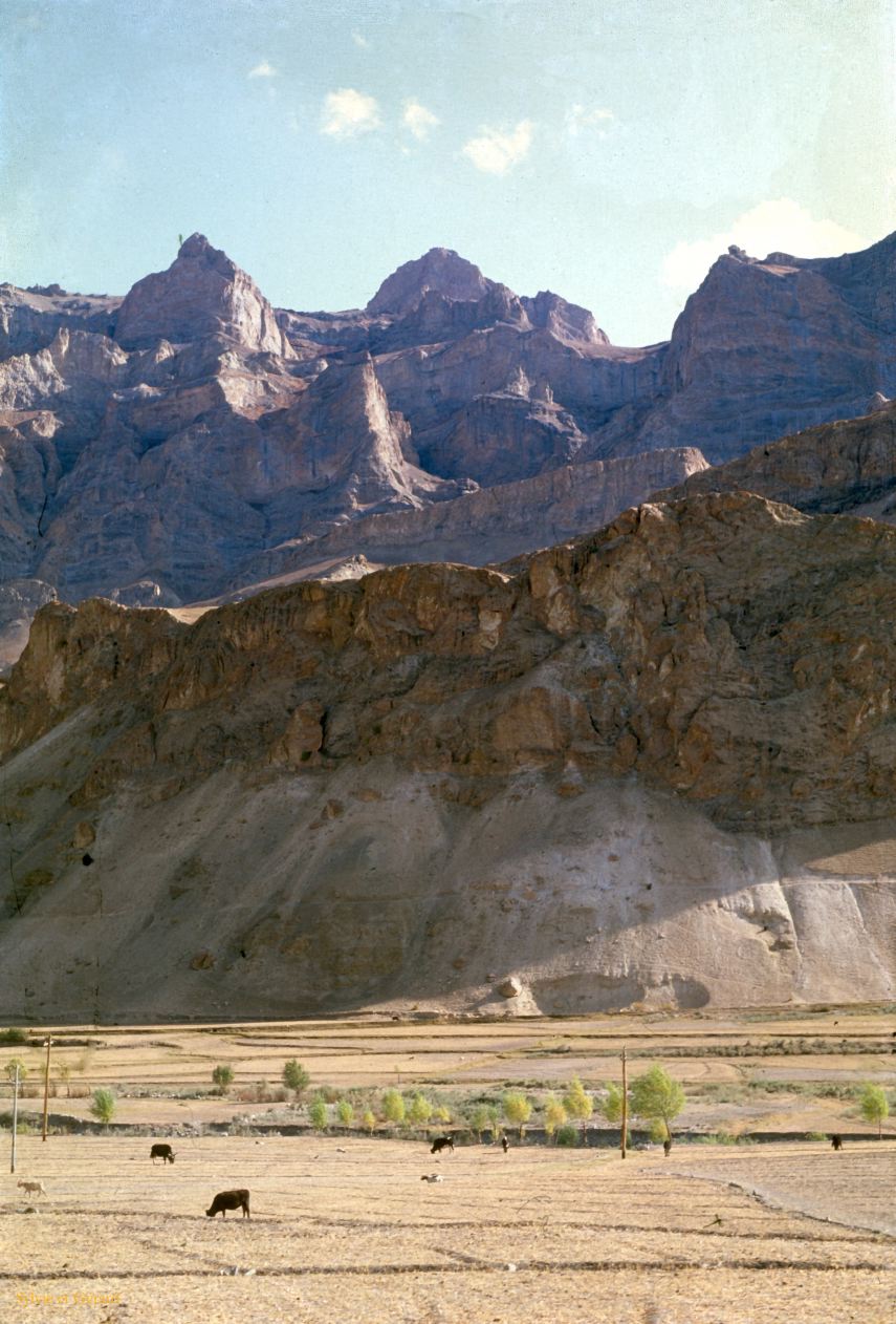 113 Lamayuru les champs Ladhak Inde-1991-111