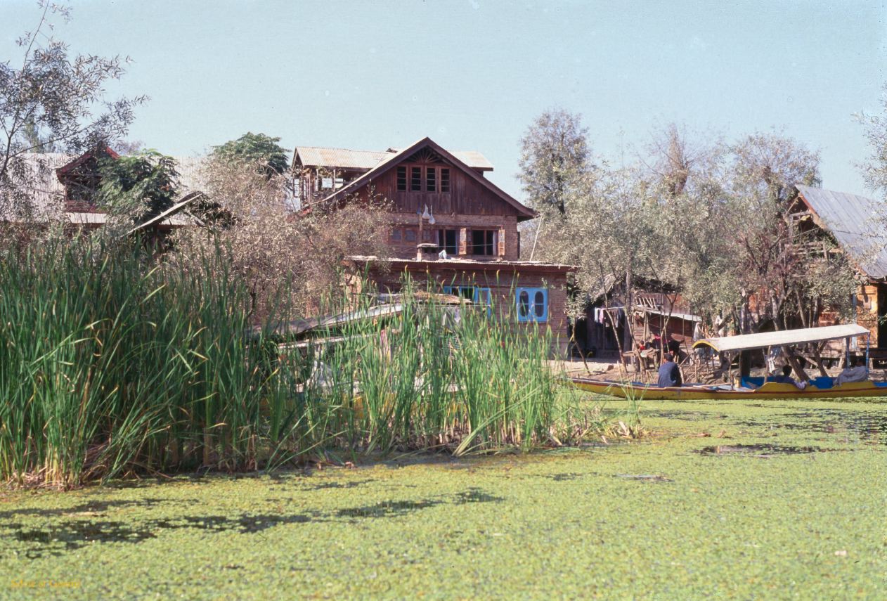 131 Srinagar sur le lac Cachemire Inde-1991-129