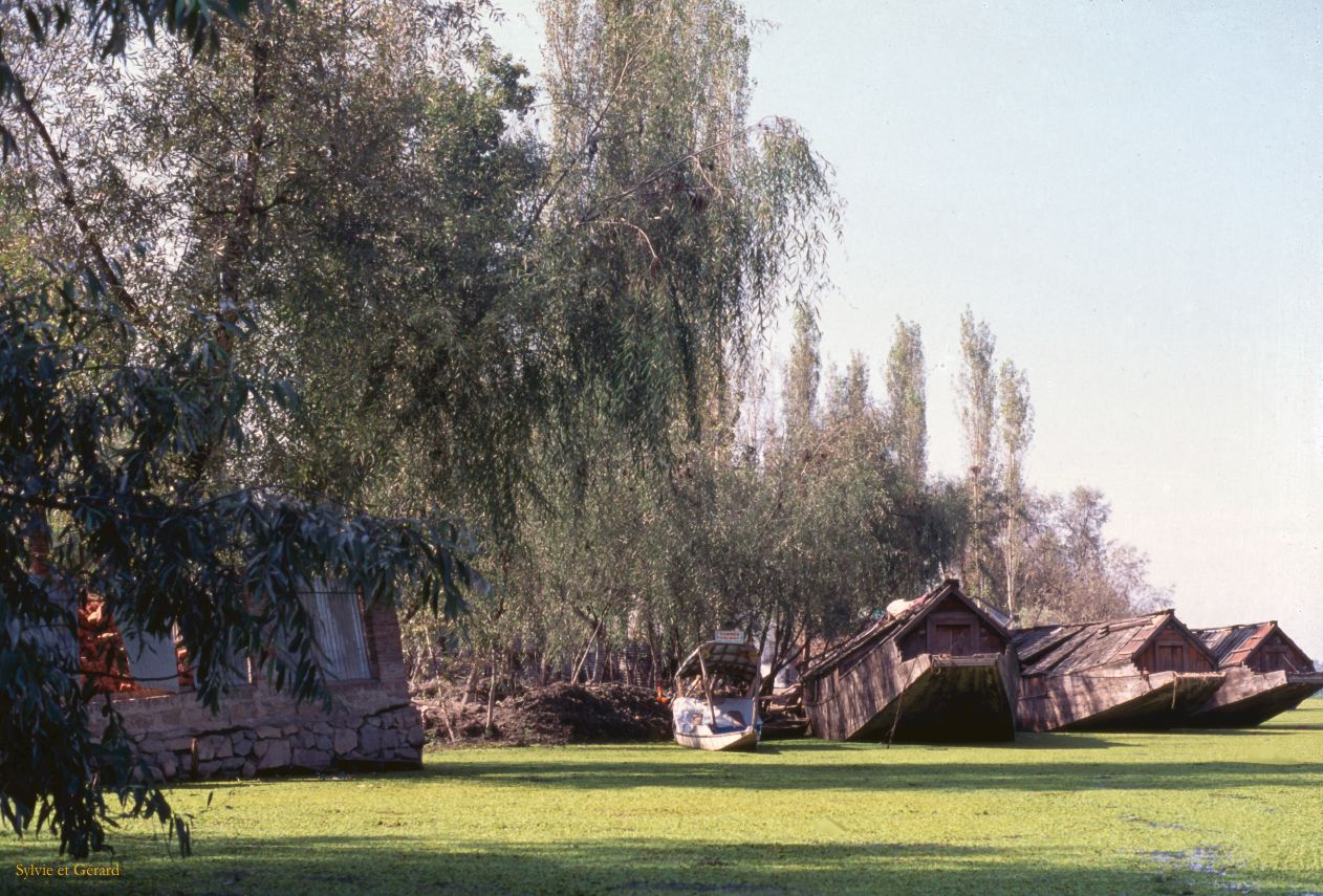 135 Srinager house boats sur le lac Dhal Cachemire Inde-1991-133