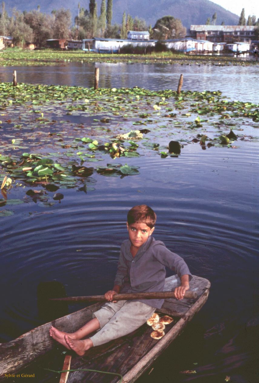 143 Srinagar enfant sur le lac cachemire Inde-1991-141