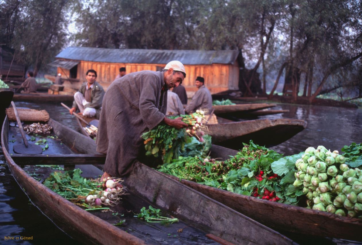 147 Srinagar marché sur les canaux Cachemire Inde-1991-145