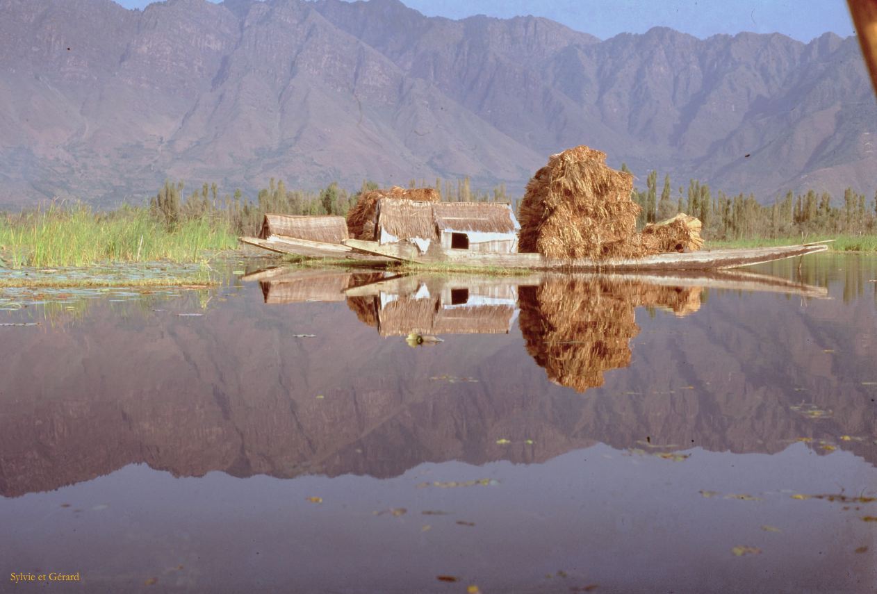150 Srinagar sur le lac Dhal  Cachemire Inde-1991-148