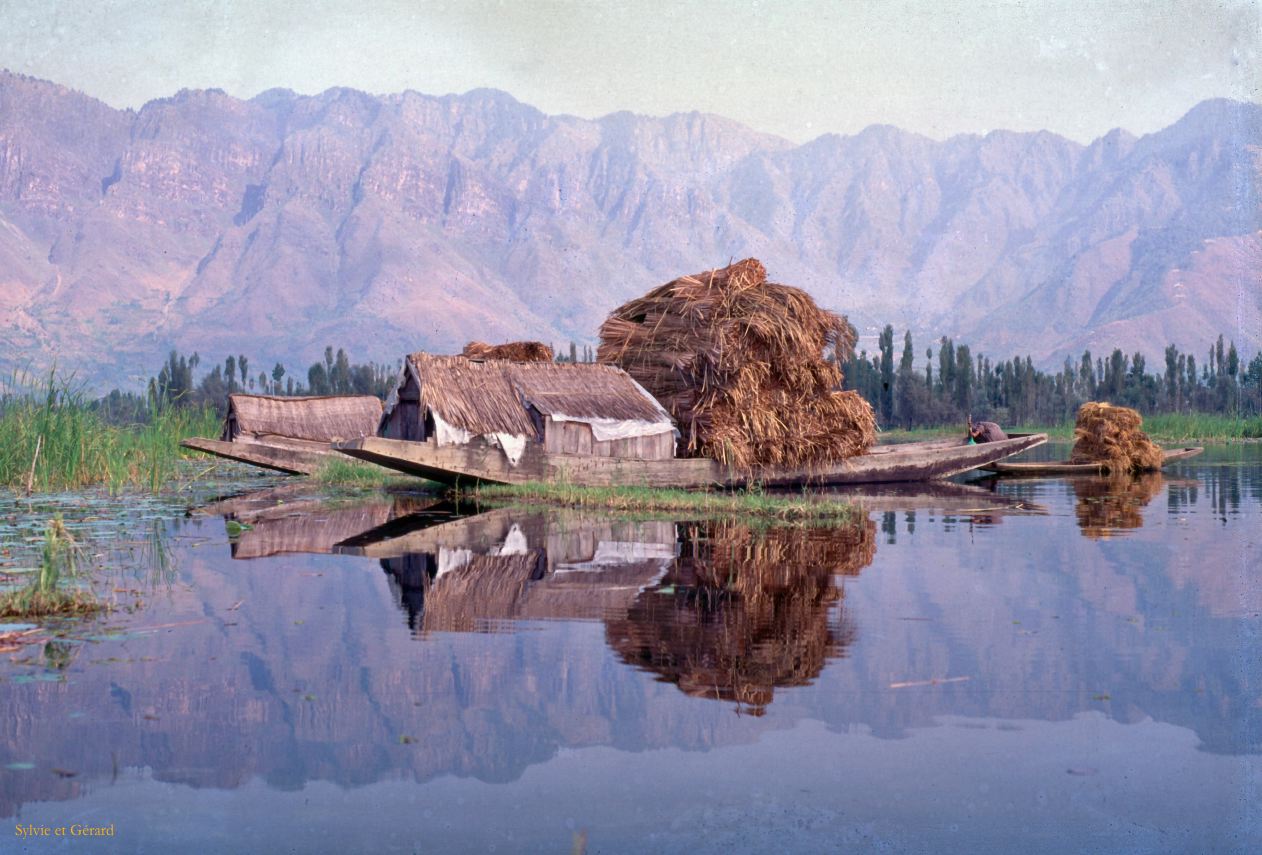 151 Srinagar sur le lac Dhal  Cachemire Inde-1991-149