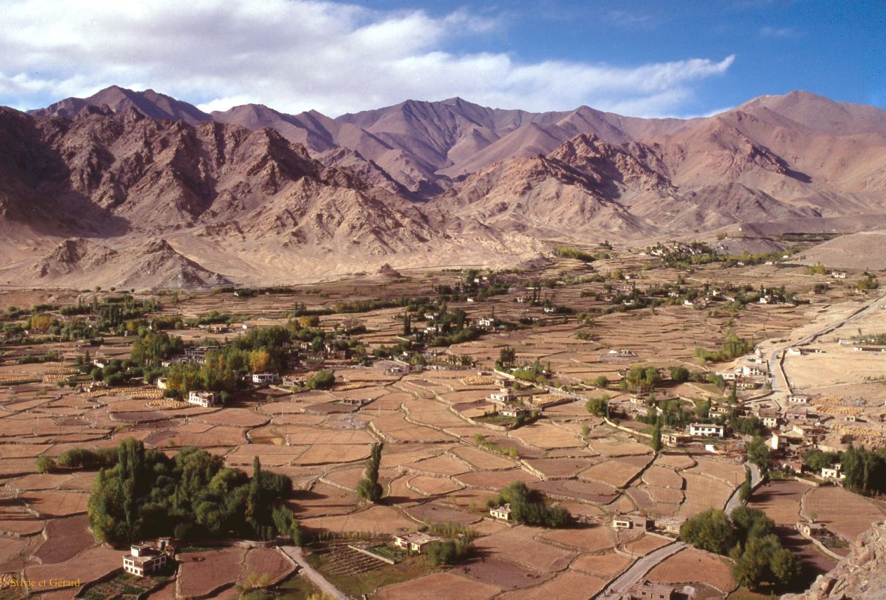 30 Leh cultures Ladhak Inde-1991-029
