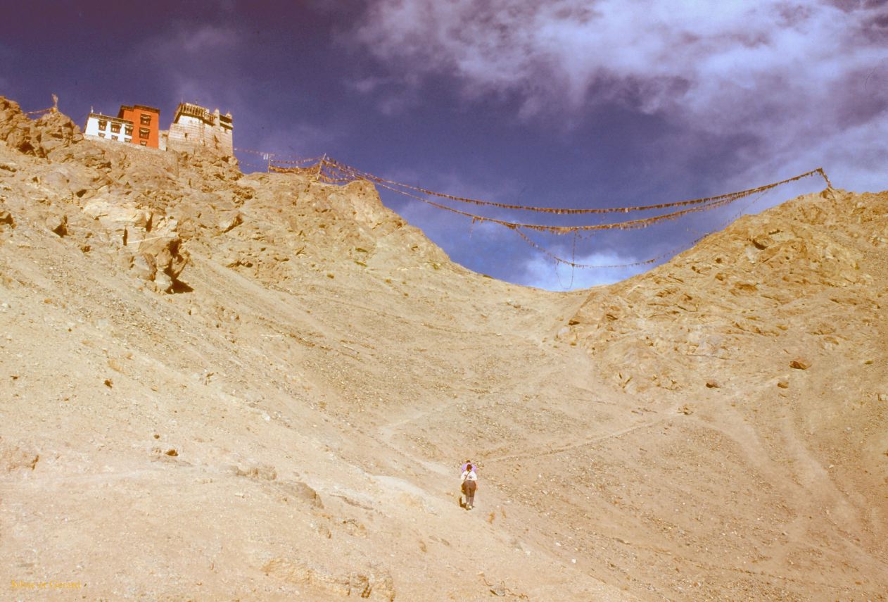 37 Leh Monastère Ladhak Inde-1991-036