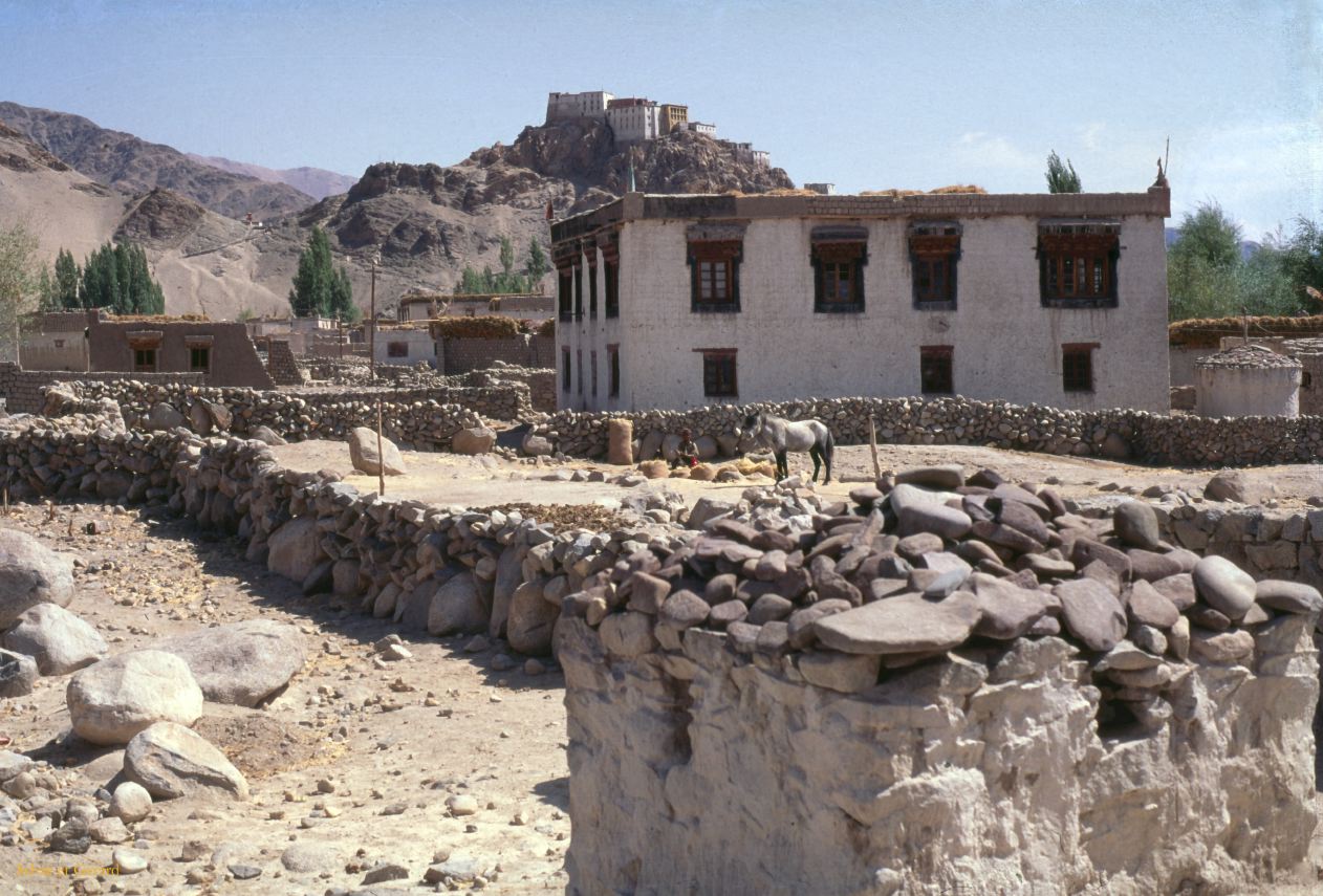 65 Thiksé maison du village Ladhak Inde-1991-063