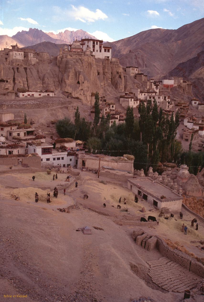 95 Lamayuru Ladhak Inde-1991-093