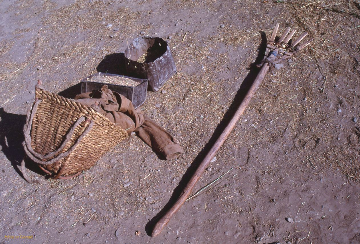 102 Lamayuru fourche Ladhak Inde-1991-100