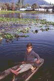 143 Srinagar enfant sur le lac cachemire Inde-1991-141