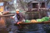 148 Srinagar marché sur les canaux Cachemire Inde-1991-146