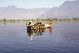 155 Srinagar sur le lac Dhal Cachemire Inde-1991-153