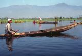 156 Srinagar sur le lac Dhal Cachemire Inde-1991-154