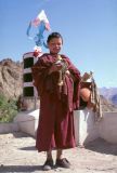 62 Hémis jeune moine Ladhak Inde-1991-060