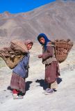 99 Lamayuru jeunes filles ramassant des bouses de yaks Ladhak Inde-1991-097