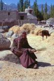 101 Lamayuru paysanne Ladhak Inde-1991-099