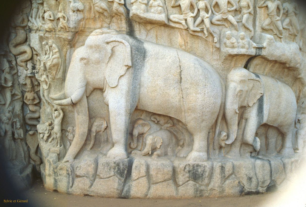 12  Mahabalipuram Tamil Nadu Inde 1983-108