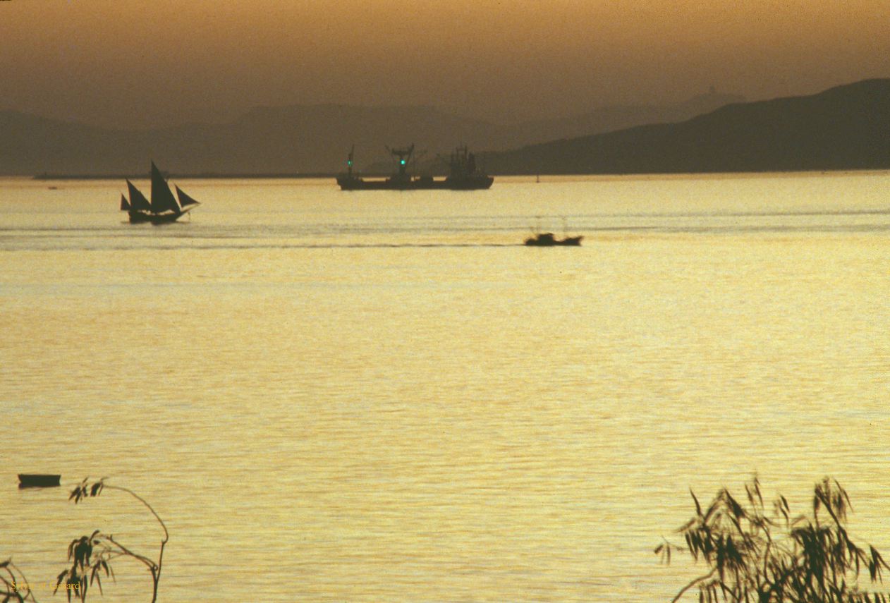 14  Madras coucher de soleil Tamil Nadu Inde 1983-003