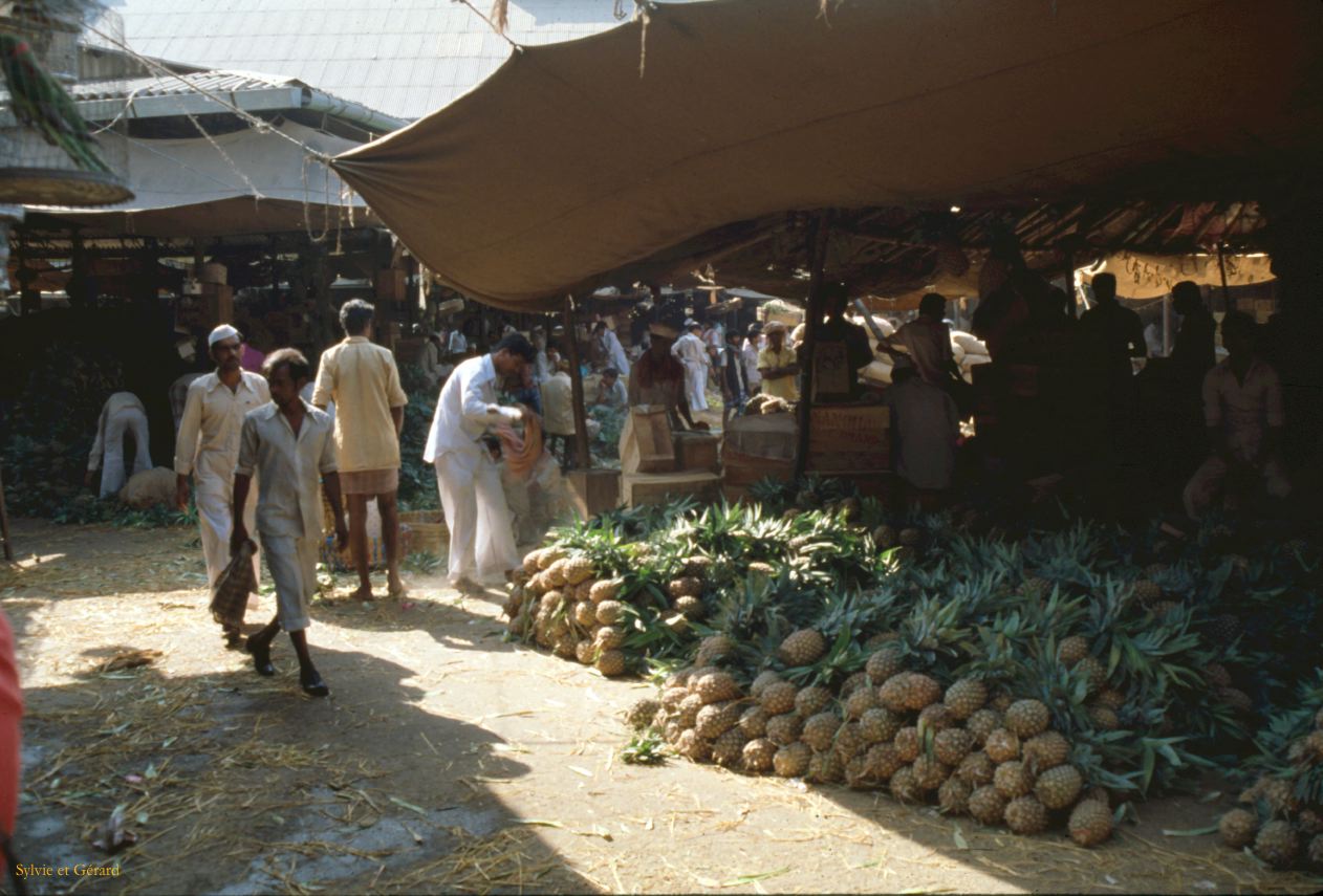 03 Mysore Inde 1983-10