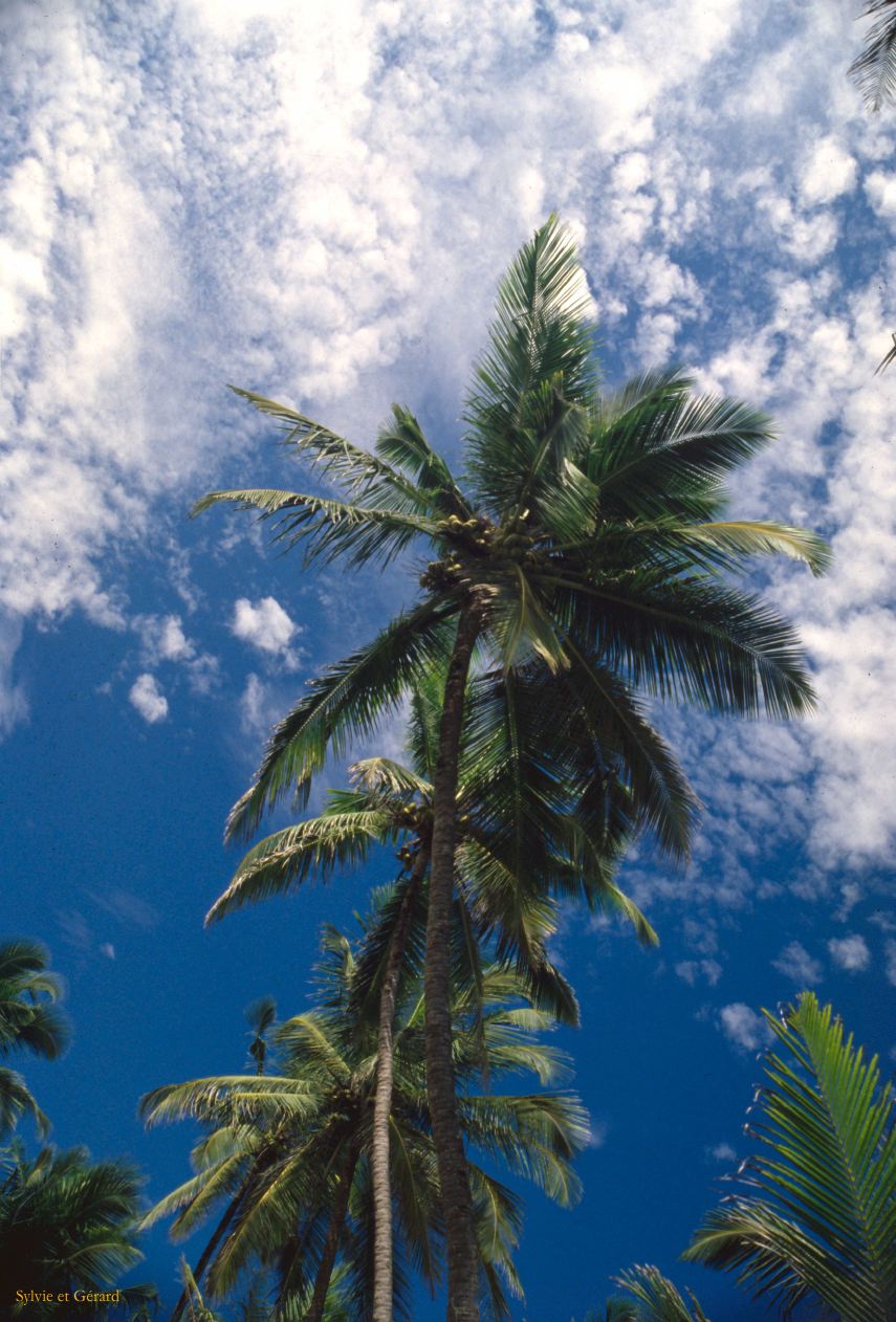 02 Goa Inde 1983-010