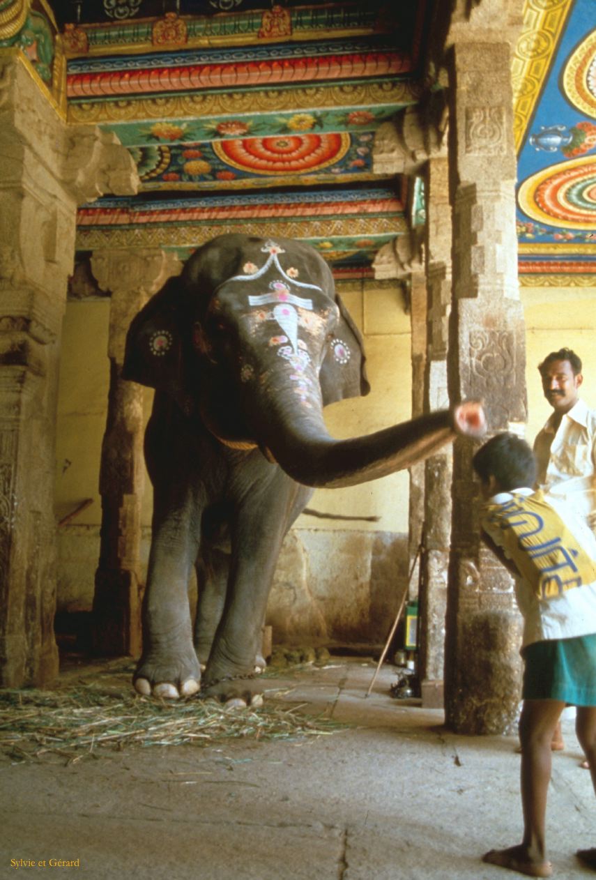 07 Maduräi Temple Minakshi Tamil Nadu Inde 1983-145